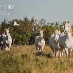 Manade Blanc - Gite La Feniere